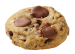 The Everything Cookie